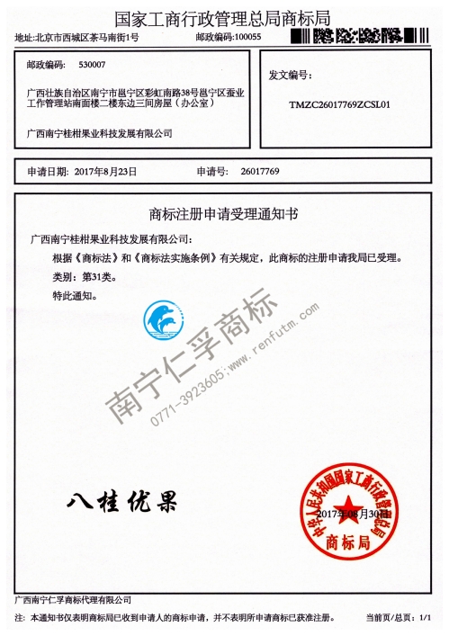 广西南宁桂柑果业科技发展有限公司号（八桂优果）31类商标受理